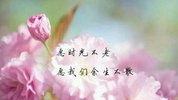 情深入骨,真爱永恒;爱着珍惜着,那是一生一世的放不下